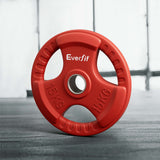 Everfit Weight Plates Olympic 15kg Dumbbell Barbell Plate Weight Lifting Home Gym Red - Close-Up Angle