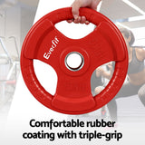 Everfit Weight Plates Olympic 15kgx2 Dumbbell Barbell Plate Weight Lifting Home Gym Red - Top-Down View