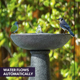 Protege Bird Bath Solar Water Feature Fountain, Contemporary Birdbath Design, with Panel Kit, LED Lights, Dark Grey - Front View