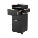 Artiss Professional Salon Station Rolling Cart, Hair Styling Beauty Cabinet with 2 Drawers, Large Supply Cabinet & 3 Appliance Holders, Wood Barber Spa Trolley with 360° Wheels for Skincare & Vanity, Black - Top-Down View