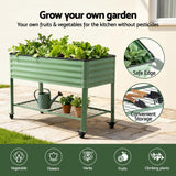 Green Fingers Elevated Raised Garden Bed Kit Mobile w/ Locking Wheels & Storage Shelf 100KG Max Load 115x60x81cm | Galvanized Steel, Portable Green Organizer for Seniors, Patio, Balcony, Vegetables - 45-Degree Angle