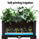 Green Fingers Garden Bed 120x40x36cm PP Planter Box Raised Container Growing Herb - Rear View