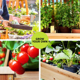 Green Fingers Garden Bed Elevated 120x60x80cm Wooden Planter Box Raised Container - Top-Down View