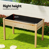 Green Fingers Garden Bed Elevated 120x60x80cm Wooden Planter Box Raised Container - Rear View