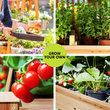 Green Fingers Raised Garden Bed 2x Elevated 120x60x80cm Wooden Planter Box Container - Top-Down View