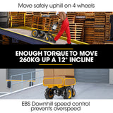 BAUMR-AG 40V Battery Powered Material Handling Dumper Wheelbarrow Motorised Electric, 300kg Capacity
