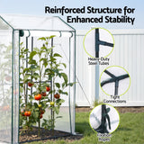 Green Fingers Mini Greenhouse PE Cover Green House Roll-Up Zippered Door 1.0x0.8x1.5M - Rear View