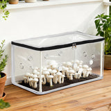 Green Fingers Mini Greenhouse 50x25x25cm PVC Cover for Mushrooms Succulents - Close-Up Angle