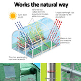 Green Fingers Greenhouse 6x4x2M Walk in Green House Tunnel Plant Garden Shed Dome - 45-Degree Angle