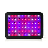 Green Fingers 600W Grow Light LED Full Spectrum Indoor Plant All Stage Growth