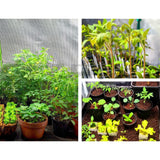 Green Fingers Grow Tent 60x60x90CM Hydroponics Kit Indoor Plant Room System - Side View