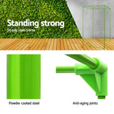 Green Fingers Grow Tent 80x80x160CM Hydroponics Kit Indoor Plant Room System - Top-Down View