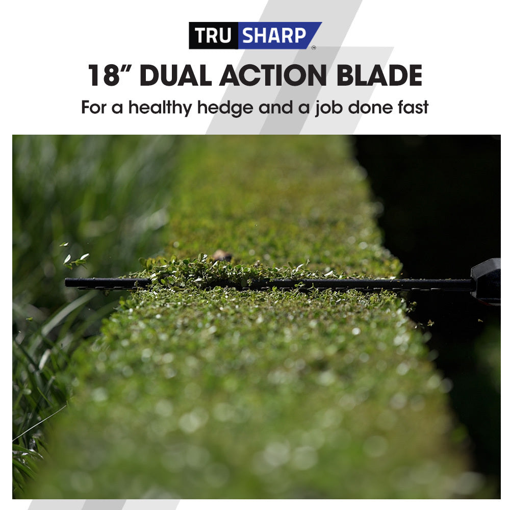 BAUMR-AG 20V SYNC Cordless Pole Saw & Hedge Trimmer Combo, 8 inch Chainsaw Pruner, Telescopic Handle