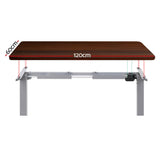 Artiss Standing Desk Motorised 120CM Walnut - Side View