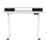 Artiss Electric Standing Desk Dual Motor Office Table With Shelf Drawer120CM - Side View