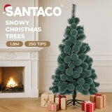 Santaco 1.8M 250 Tips Christmas Tree Full Pine Needle - 45-Degree Angle