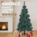 Santaco 1.8M 250 Tips Christmas Tree Full Pine Needle-2006732744968769541