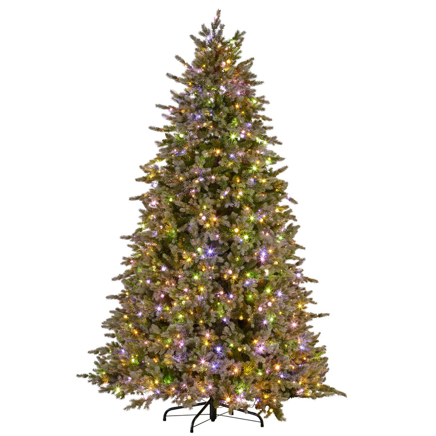 Bergen Fir 7.5ft Multicolour Pre-Lit Christmas Tree