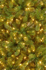 Christabelle 7.5ft Christmas Tree with Lights - Evergreen