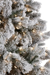 229cm Snowy Atica Christmas Tree with Lights