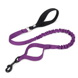 True Love Military Dog Leash 2.5 cm width and 1.4 m length - Purple M
