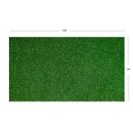 Marlow 40MM Fake Artificial Grass Synthetic Natural 1x20m-2018816910493356034