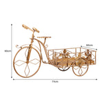 Christabelle Antique Gold Bicycle Display Metal Christmas Decor