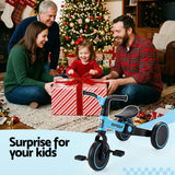 RIGO Tricycle Bike, Kids Bike with 3 wheels, Carbon Steel 70cm Blue - Low Angle