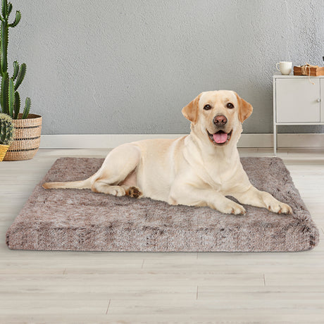 PaWz Dog Mat Pet Calming Bed Memory L Coffee Large-2018816707749089286