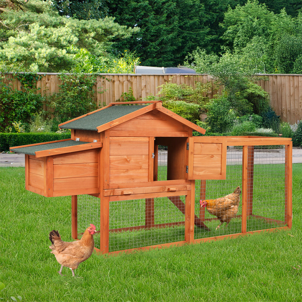 Pawz Rabbit Hutch-2006732886274871302