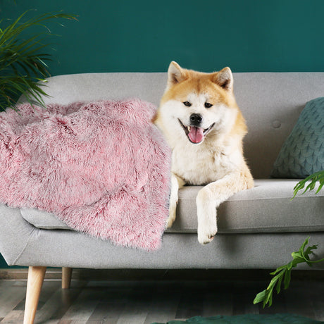 PaWz Dog Blanket Pet Cat Mat Puppy Warm Pink-1954802544870035462