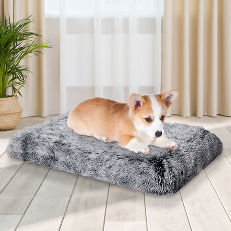PaWz Dog Mat Pet Cat Calming Bed Memory S Charcoal Small-1954802547403395078