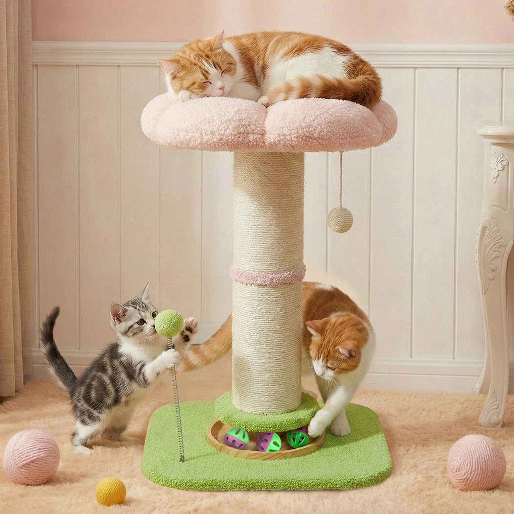 Pawz Cat Scratching Post Flower 61.5cm Cat Tree Tower-2011971128595189766