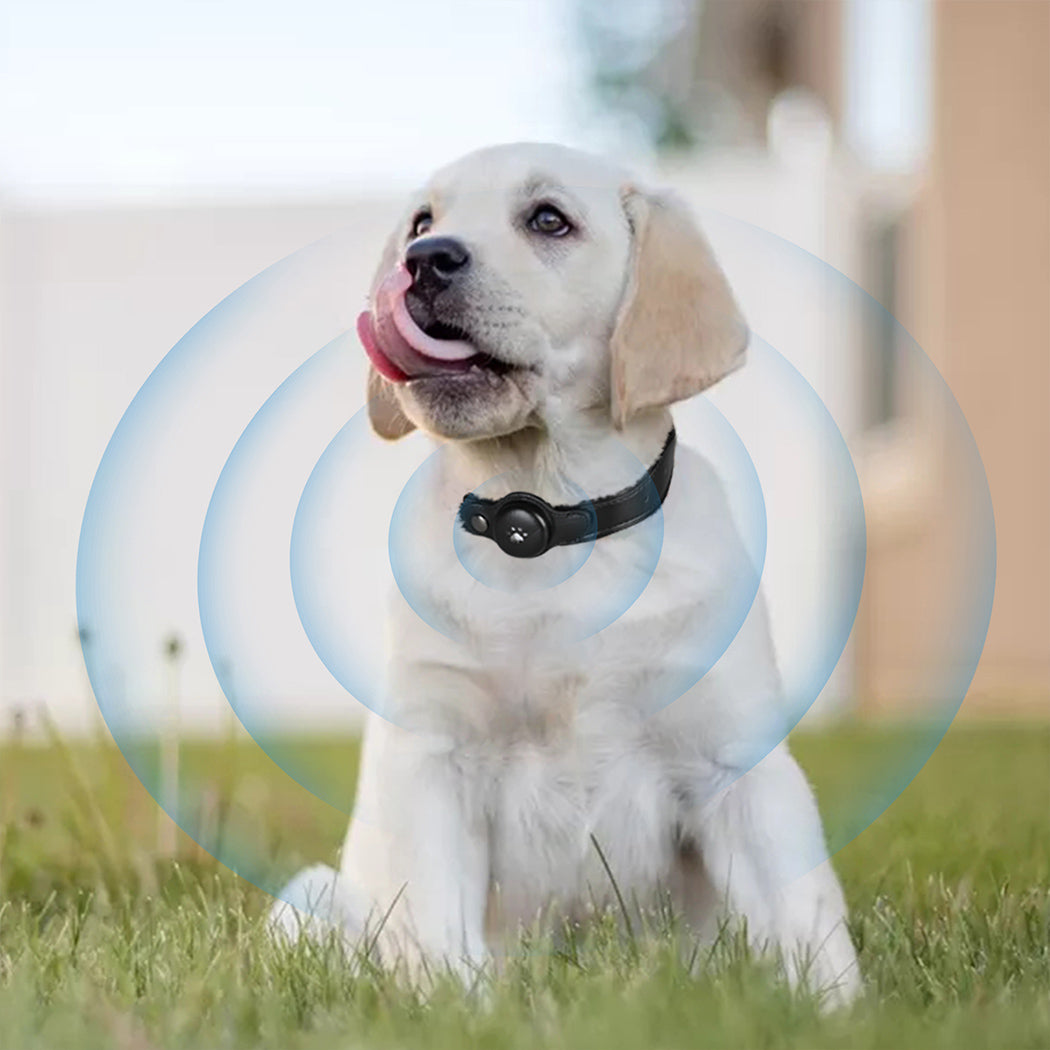PaWz Bluetooth Pet Tracker Collar Dog Black-2006732996572483590