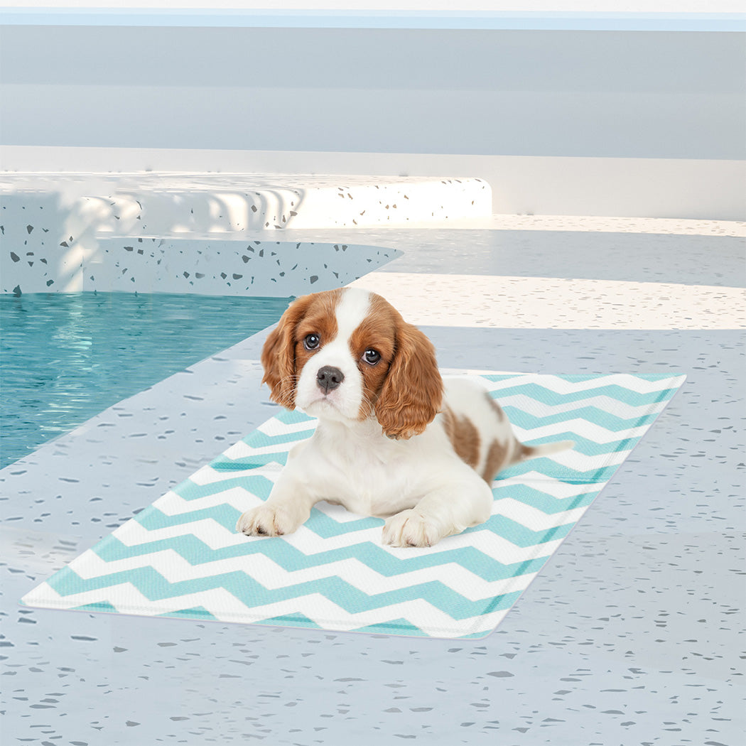 Pawz Pet Cooling Mat S Blue-2006732884131581958