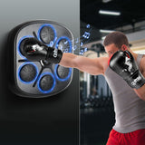 Centra Punching Box With 12 OZ Boxing Glove - Rear View
