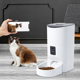 PaWz 9L Auto Pet Feeder Automatic Camera-2006732957292826630