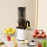 Spector Electric Cold Press Juicer Whole Fruit - Rear View
