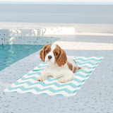 Pawz Pet Cooling Mat S Blue - 45-Degree Angle