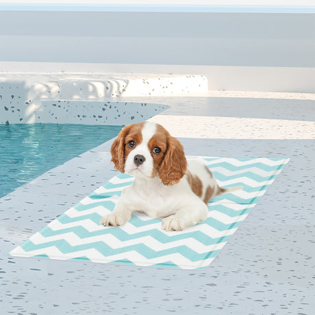 Pawz Pet Cooling Mat S Blue-1954802431313448966