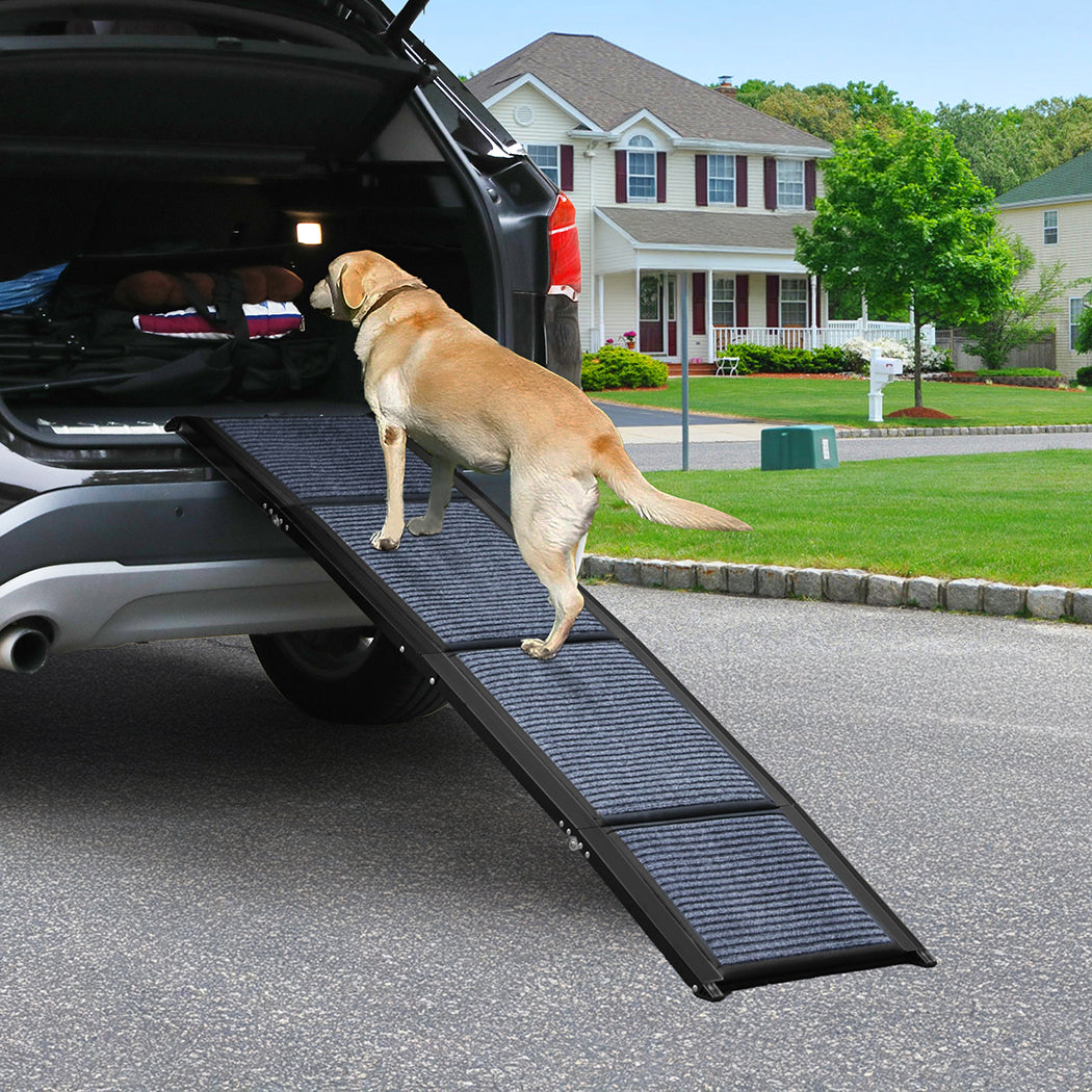 Pawz Dog Ramp-2006732877995315206