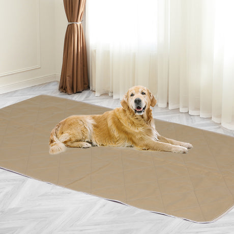 PaWz 2 Pcs 120x180 cm Reusable Waterproof KING-2018816737230852102