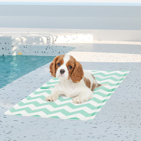 Pawz Pet Cooling Mat S Green-2018816670147153926