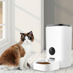 PaWz 6L Auto Feeder Pet Automatic Camera-2018816890893373446