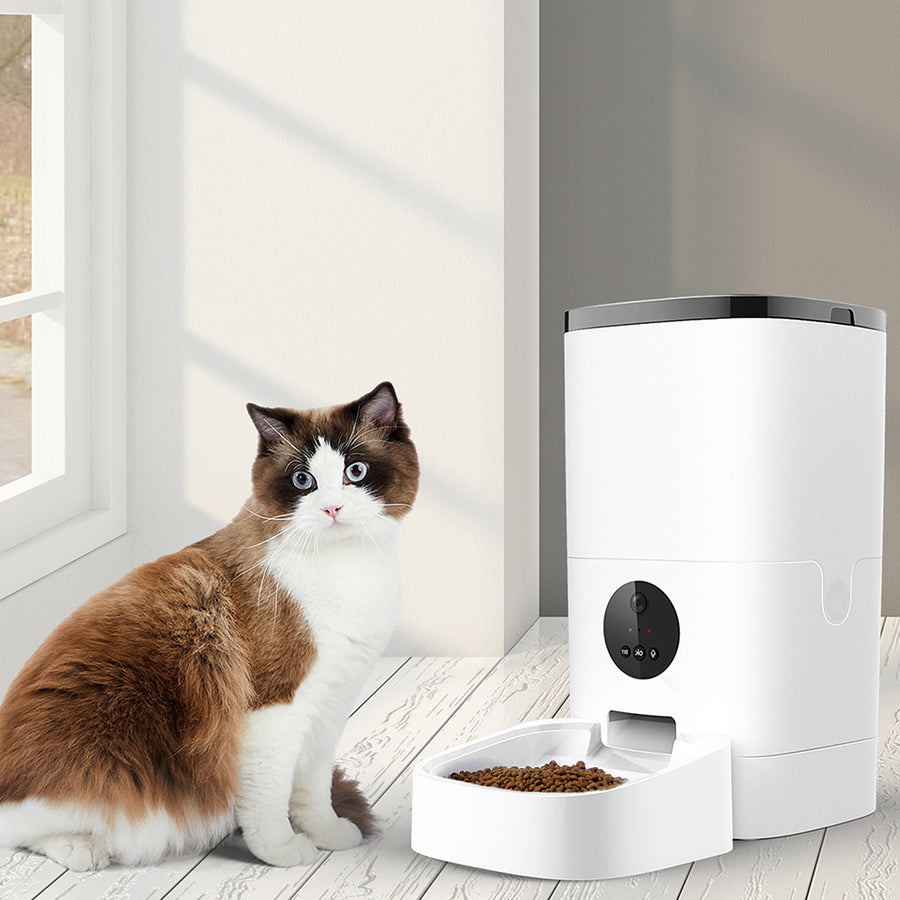PaWz 6L Auto Feeder Pet Automatic Camera-2018816890893373446