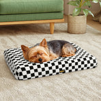 Pawz Orthopedic Dog Bed Memory Foam Pet Mattress Mat-2011971125881475078