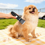 Pawz Pet Clipper Cat Dog Grooming Trimmer Shaver Kit-2011971117417369606