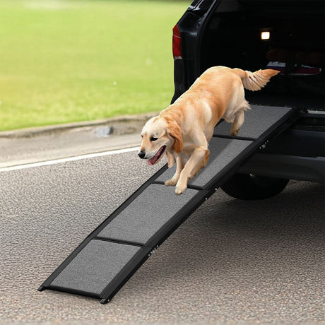 Pawz Dog Ramp-2006732878519603206