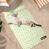 PaWz Pet Cooling Mat Cat Dog Gel Non-Toxic Small - Rear View