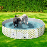 PaWz 160cm Portable Pet Swimming Pool XXL XX-Large - Rear View